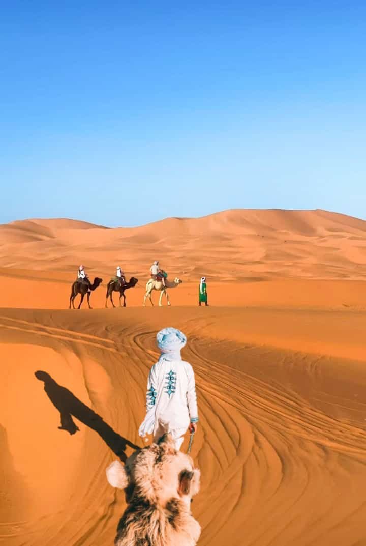 Grupo de viajeros en dromedario por las dunas