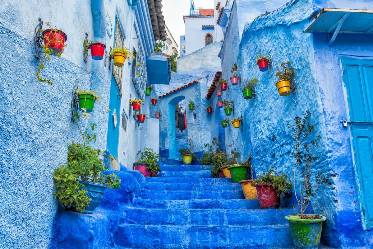 Escalera azul con macetas en una callejuela de Chefchaouen